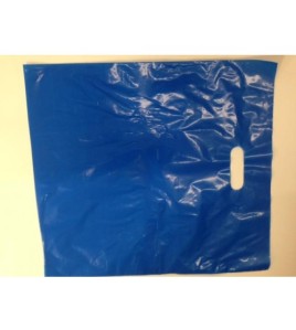 Boutique Style Shopping Bags 9 Inches x 12 Inches 500pcs / Case Boutique Style Shopping Bags 9 Inches x 12 Inches 500pcs / Case