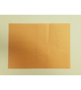 Peach Paper 1000pcs / Case 8 x 11