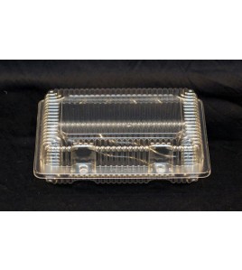 VEL-022 rectangular hinged lid plastic containers  VEL-022 rectangular hinged lid plastic containers